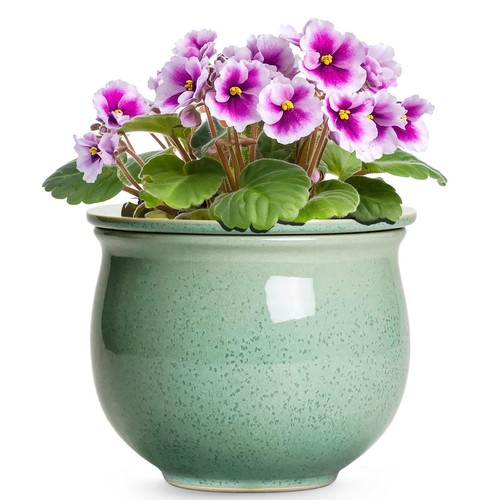 Teagas ceramic self watering - ceramic,